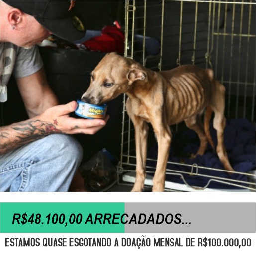 AJUDA A ANIMAIS ABANDONADOS