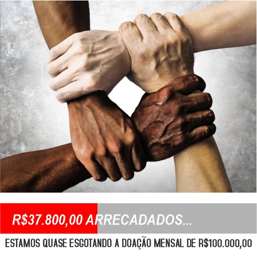 COMBATE A DESIGUALDADE RACIAL