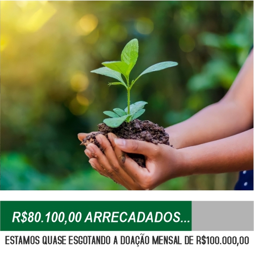 ARBORIZAÇÃO, PLANTIO DE ÁRVORES